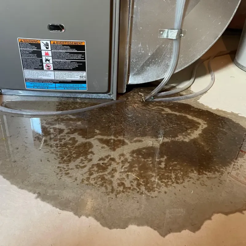 Appliance Leak Cleanup in Liberty, MO