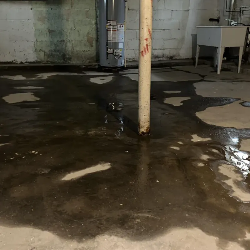 Emergency Water Extraction And Removal in Liberty, MO